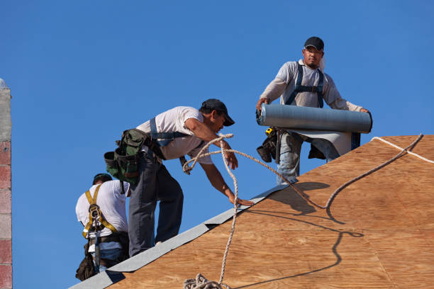 Best Emergency Roof Repair  in Hamilton, AL