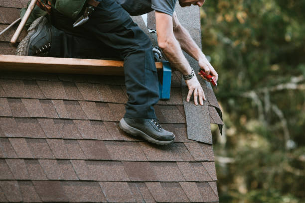 Best New Roof Installation  in Hamilton, AL